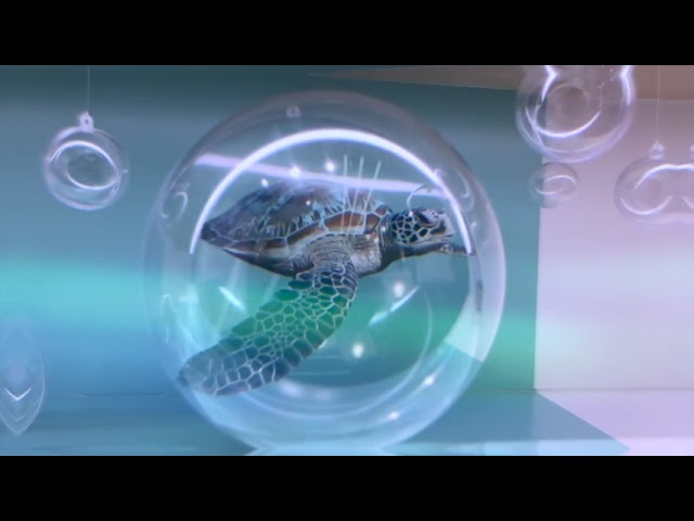 PROMOTION VIDEO FOR EVOLCARE PACKAGE E - Video Production — V1 Video Production video production portfolio